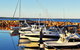 Newcastle And Central Coast Private Shore Excursion | Departs Newcastle Port - thumb 11