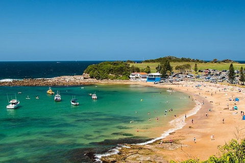 Newcastle And Central Coast Private Shore Excursion | Departs Newcastle Port - E Caravan Parks 8