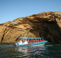 Hunter Coastal Adventure Tour by Boat from Newcastle - E Caravan Parks