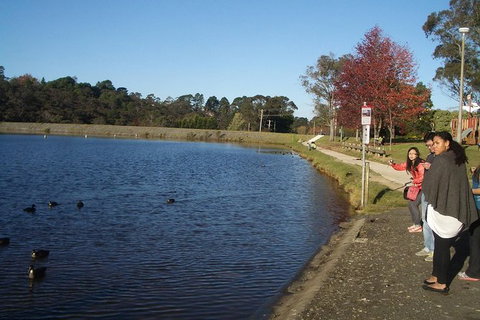 All-Day Blue Mountains Private Tour With Professional Guide For Up To 4 People - E Caravan Parks 24