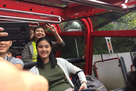 All-Day Blue Mountains Private Tour With Professional Guide For Up To 4 People - E Caravan Parks 15