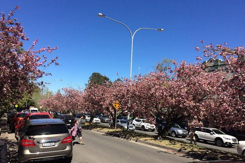 All-Day Blue Mountains Private Tour With Professional Guide For Up To 4 People - E Caravan Parks 16