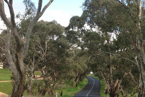 All-Day Blue Mountains Private Tour With Professional Guide For Up To 4 People - E Caravan Parks 22