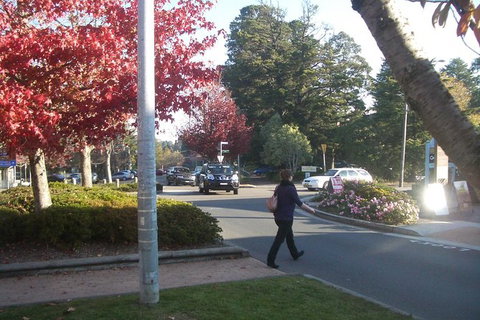 All-Day Blue Mountains Private Tour With Professional Guide For Up To 4 People - E Caravan Parks 12