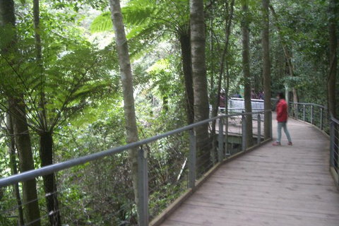 All-Day Blue Mountains Private Tour With Professional Guide For Up To 4 People - E Caravan Parks 20
