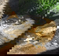 Armadale Reptile Centre - E Caravan Parks