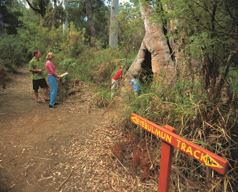 Bibbulmun Track - E Caravan Parks 1