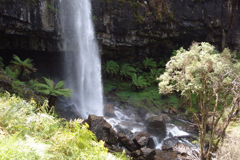 Bindaree Falls - E Caravan Parks 1