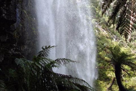 Bindaree Falls - E Caravan Parks 2