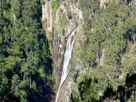 Carrai National Park - E Caravan Parks 0