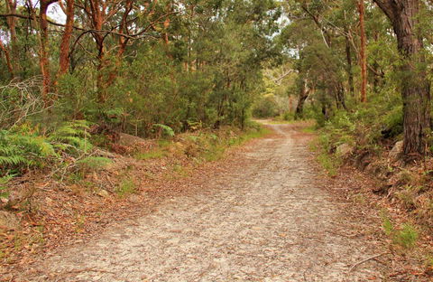 Daleys Point Walking Track - E Caravan Parks 0