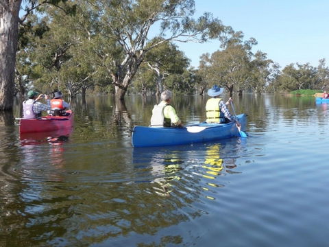 Doodle Cooma Swamp - E Caravan Parks 0