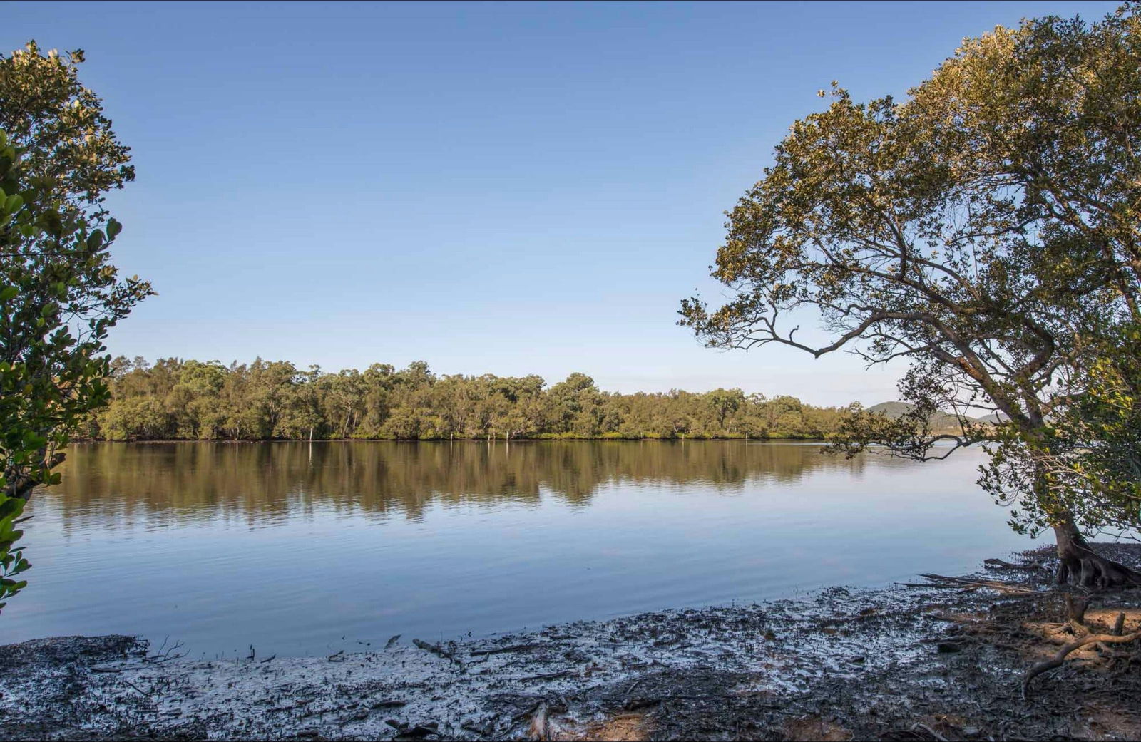 Limeburners Creek NSW E Caravan Parks