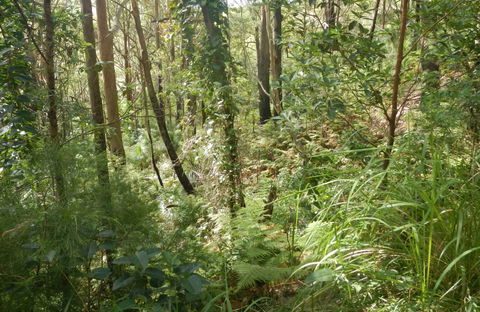 Gap Beach Walking Track - E Caravan Parks 0