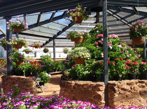 Geelong Botanic Gardens - E Caravan Parks 1