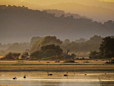 Greens Beach - E Caravan Parks 0