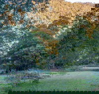 Griffins walking track - E Caravan Parks