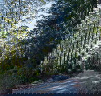 Hastings Forest Way Touring Route - E Caravan Parks