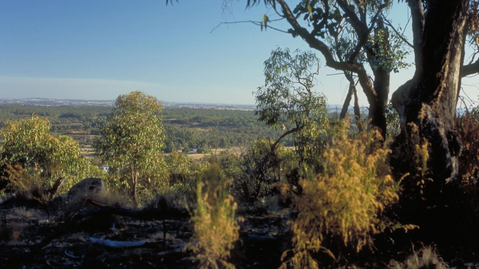 Archdale Junction VIC E Caravan Parks