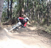 Jolly Nose Mountain Bike Park