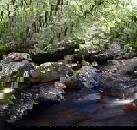 Kangaroo River - E Caravan Parks