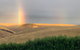 Lessismore Farm Afternoon Farmer - thumb 1