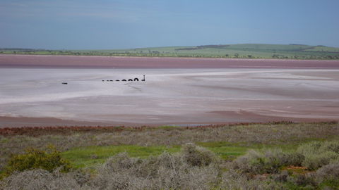 Lochiel - E Caravan Parks 0