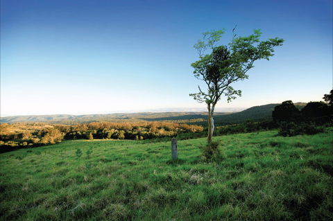 Ravensbourne National Park - E Caravan Parks 0