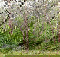 Scutts Hut Trail - E Caravan Parks