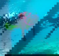 Shellharbour Scuba  and Photography Centre - E Caravan Parks