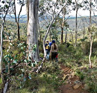 Summits Walking Track - E Caravan Parks
