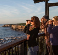 Sutherland Shire