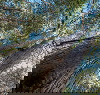 Wallumatta Nature Reserve - E Caravan Parks