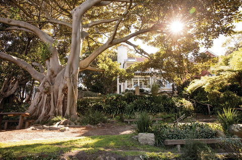 Wendy Whiteley's Secret Garden - E Caravan Parks 0