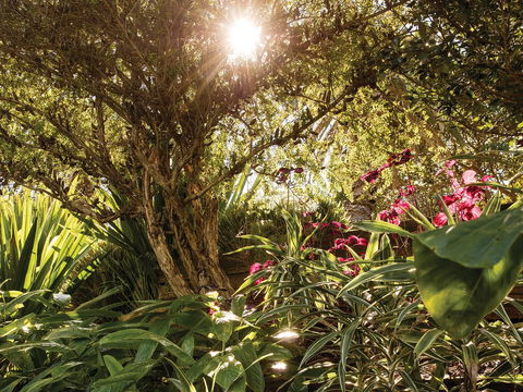 Wendy Whiteley's Secret Garden - E Caravan Parks 1