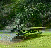 Williams River picnic area - E Caravan Parks