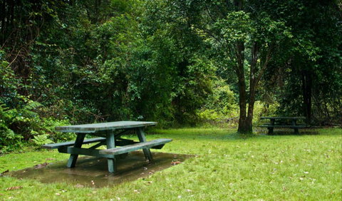 Williams River Picnic Area - E Caravan Parks 0