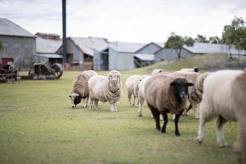 14 Day Gems Of The Outback - E Caravan Parks 2