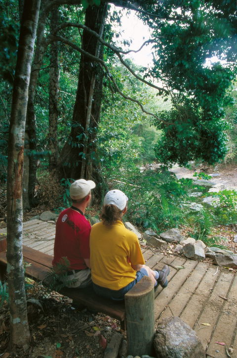 Airlie Beach To Cedar Creek Falls - E Caravan Parks 2