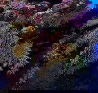 Around The Bend Dive Site - E Caravan Parks