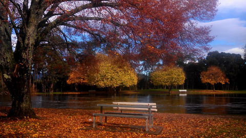 Bells Parade Reserve - E Caravan Parks 0