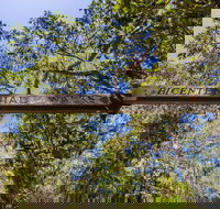 Bribie Island Bicentennial Trails - E Caravan Parks