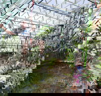 Cairns ZOOM and Wildlife Dome - E Caravan Parks