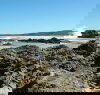 Coastal Walks - Bermagui - E Caravan Parks