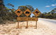 Eyre Highway - thumb 1