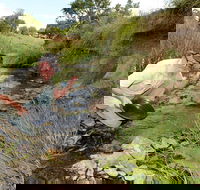 Gold Panning Deep Creek - E Caravan Parks