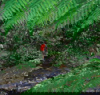 Goldsborough Valley Wooroonooran National Park - E Caravan Parks