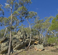 Green track - E Caravan Parks