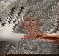Hands of Fame Park - E Caravan Parks