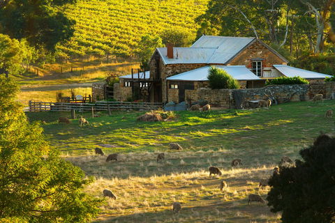 Hutton Vale Farm - E Caravan Parks 1